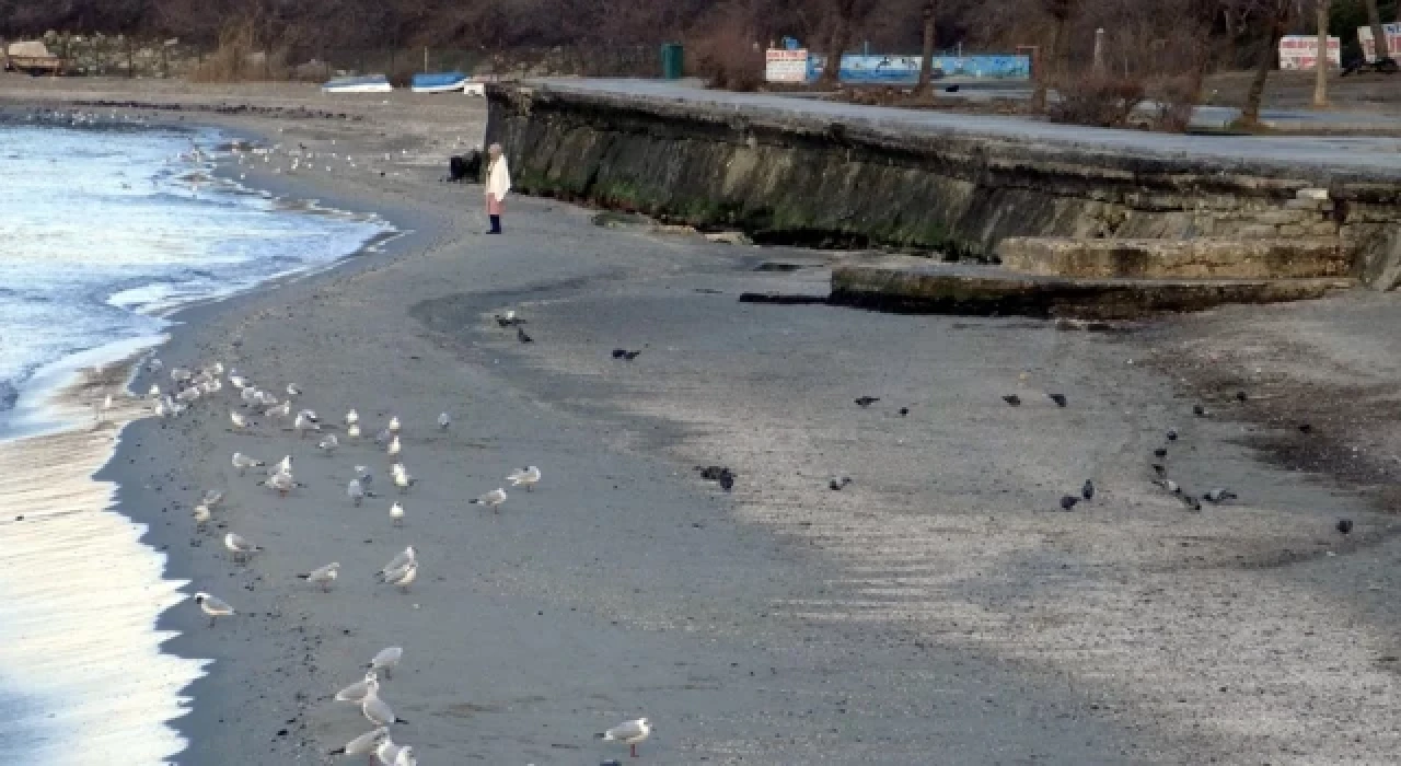 Avcılar'da deniz 15 metre çekildi, kayalıklar görüldü