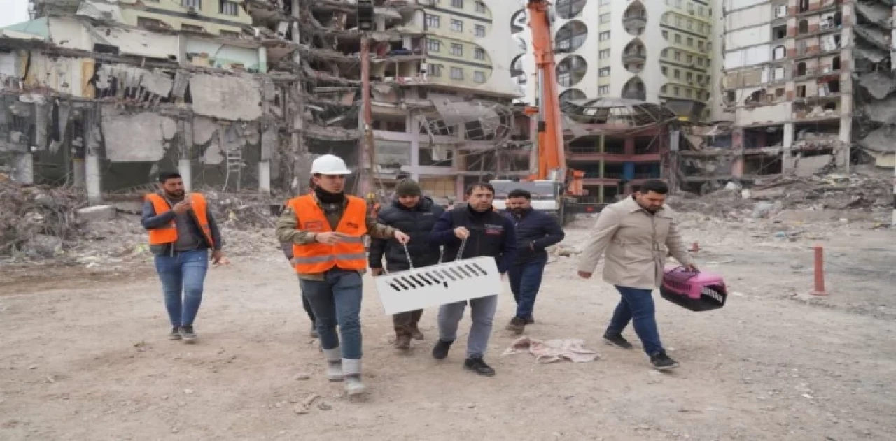 Diyarbakır’da ’ağır hasarlı’ binadan kurtarılan kedi sayısı 8 oldu