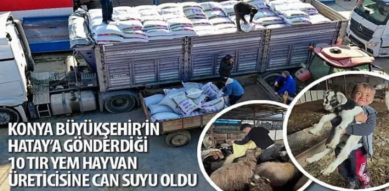 Konya Büyükşehir’in Hatay’a Gönderdiği 10 Tır Yem Hayvan Üreticisine Can Suyu Oldu