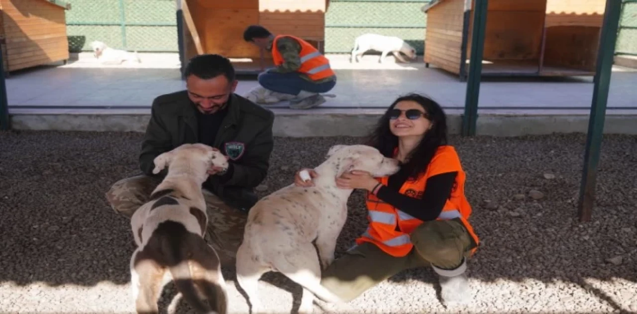 Paw Guards üyelerinden Diyarbakır’a yakın mercek