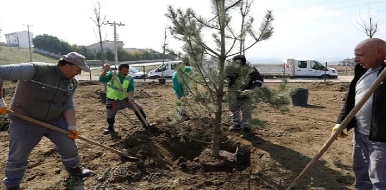 Akhisar’da 64 Fidan Toprakla Buluştu