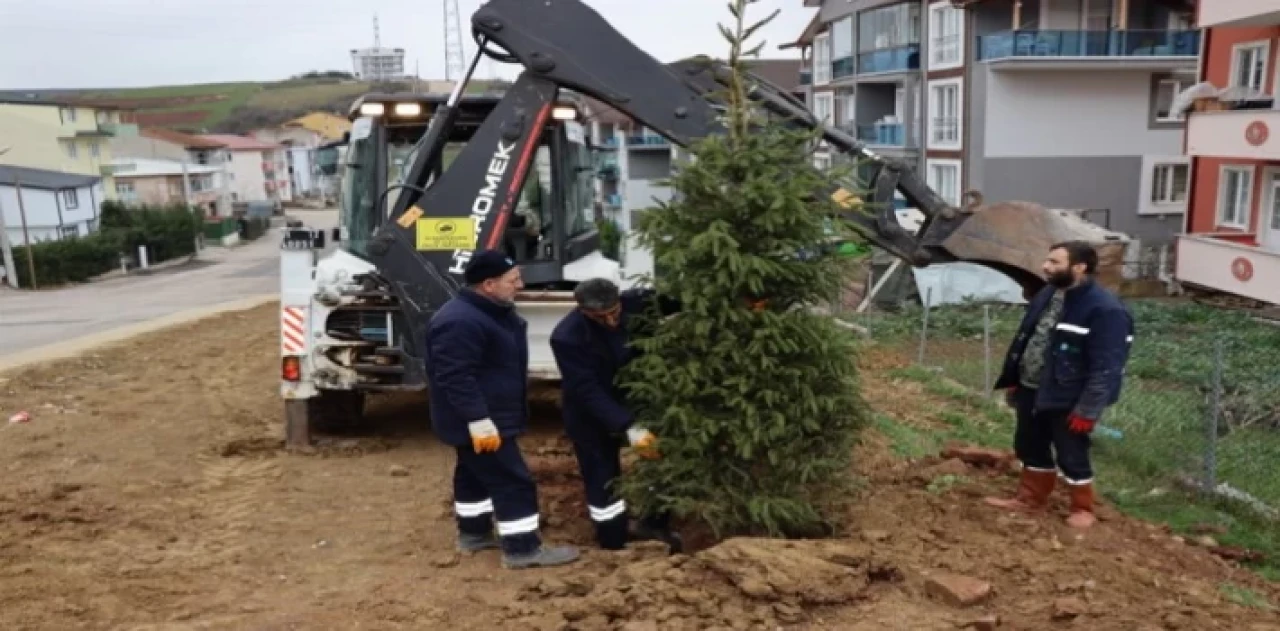 Kocaeli İzmit’te ağaçlandırma çalışması