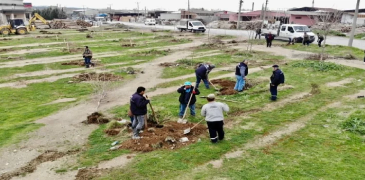 Manisa’da ’yeşil’ atılım