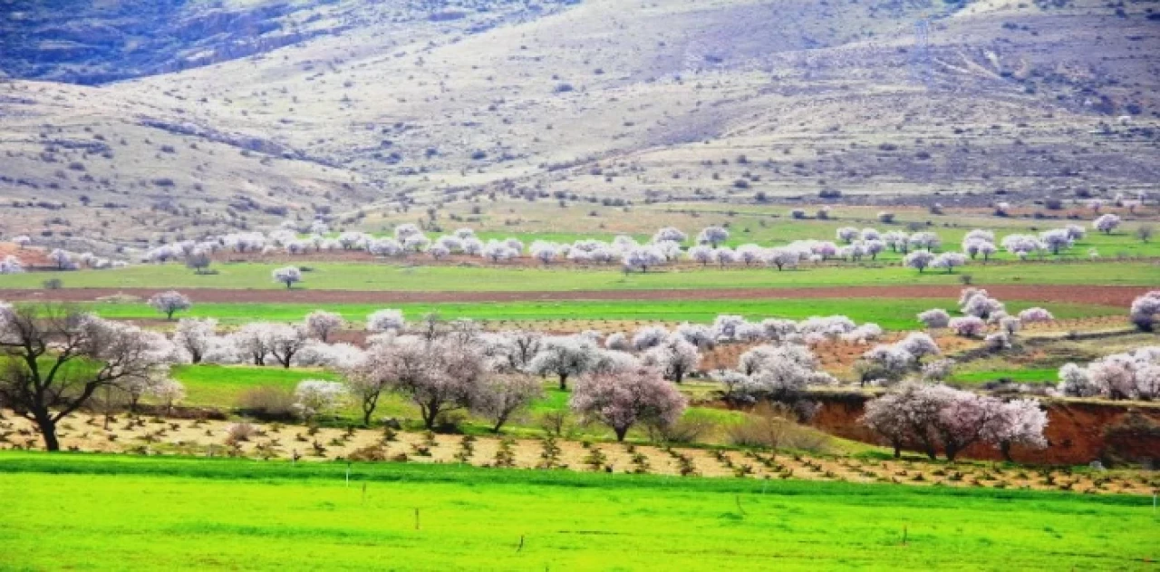 Mardin Yeşilli’de renk cümbüşü