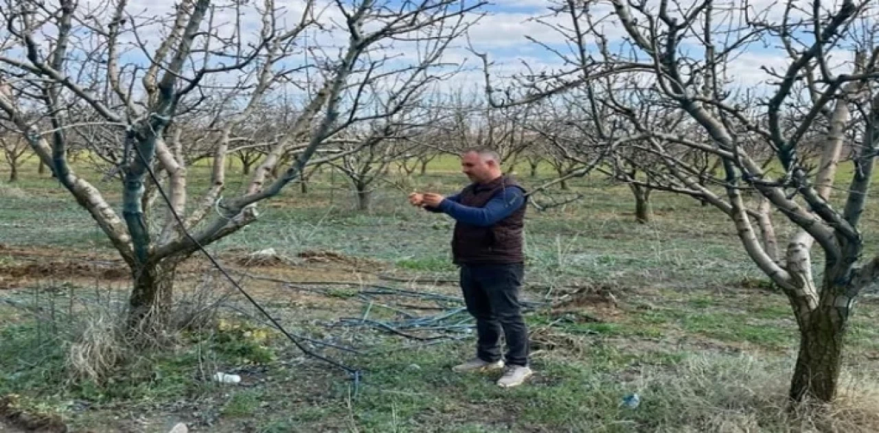 TARSİM’in destek prim oranı belirlendi