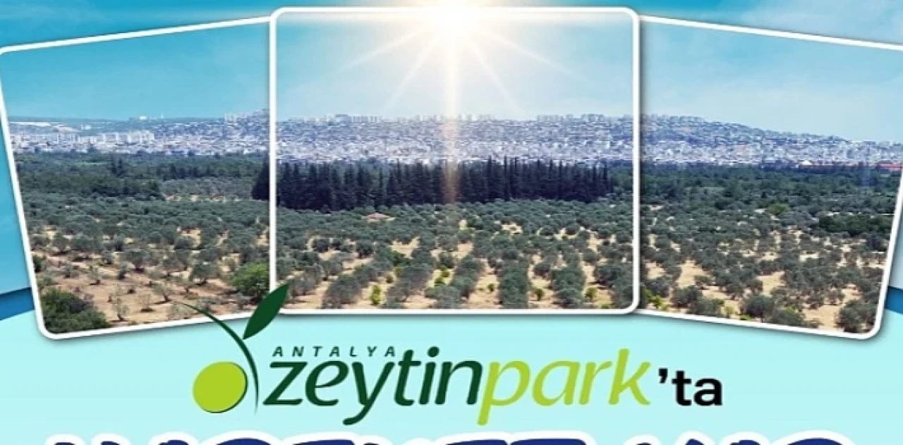 Zeytinpark’ta Hareket Var!