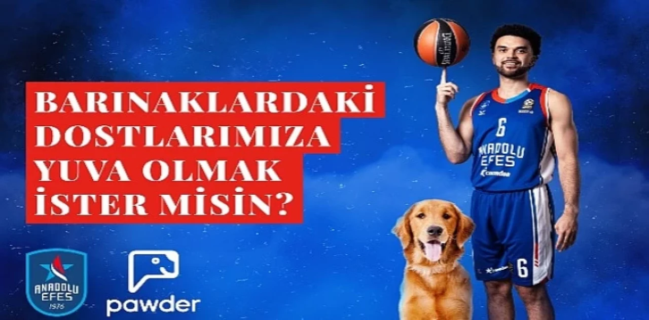 Anadolu Efes, Pawder İş Birliğiyle Depremzede Köpeklerin Ve Barınak Hayvanlarının Sahiplendirilmesine Destek Olacak