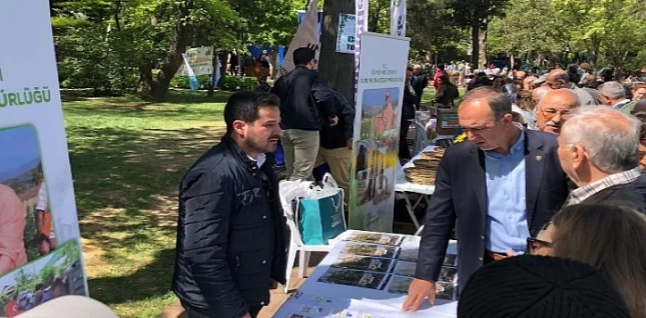 Gemlik’in tohumları Çanakkale’de