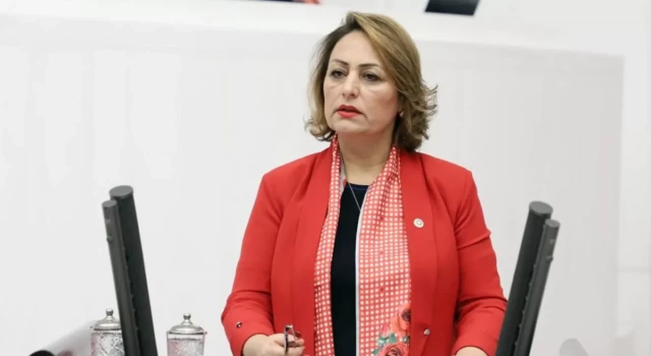 Müzeyyen Şevkin kimdir? CHP Adana 2. Sıra Milletvekili adayı Müzeyyen Şevkin nereli, ne iş yapar?