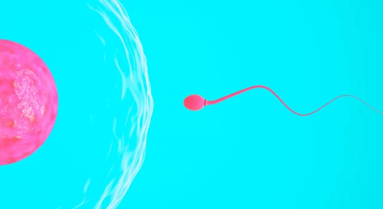 Sperm sayısını ve kalitesini neler etkiliyor?