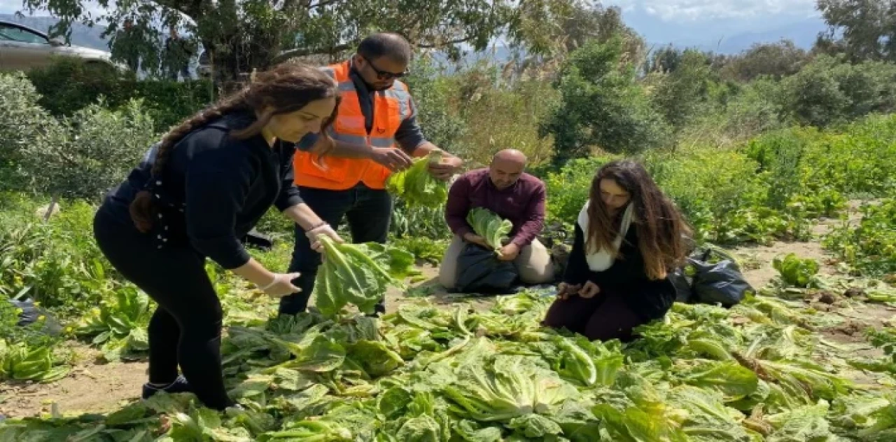 ’Tarıma destek ol Hatay’ hayata geçirildi