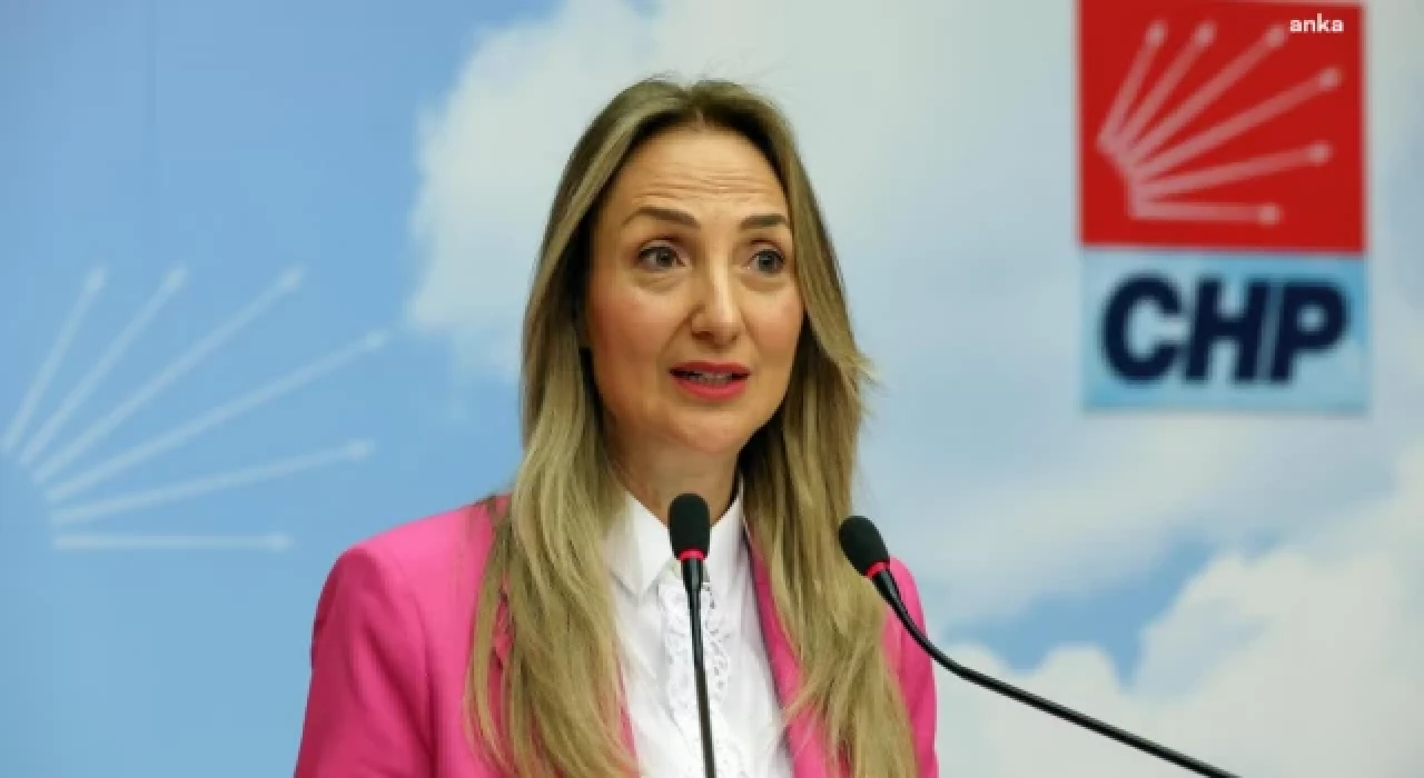 Aylin Nazlıaka: İstanbul Sözleşmesi'ni yeniden yürürlüğe koyacağız