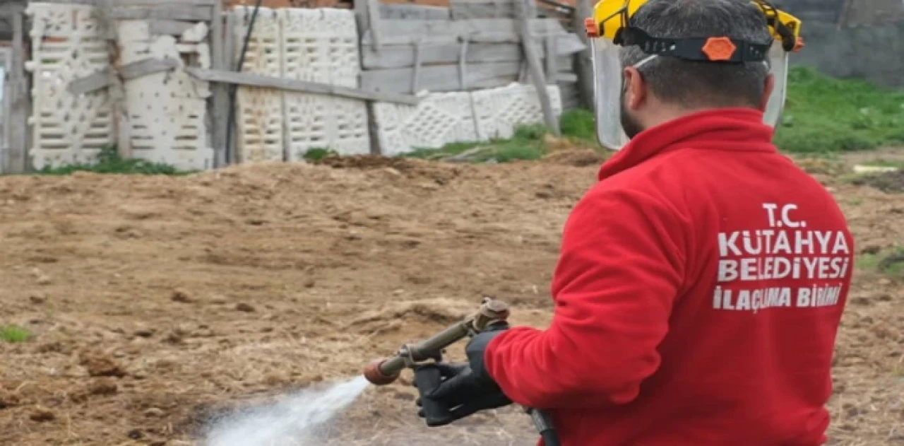 Kütahya’da ilaçlama çalışmaları sürüyor