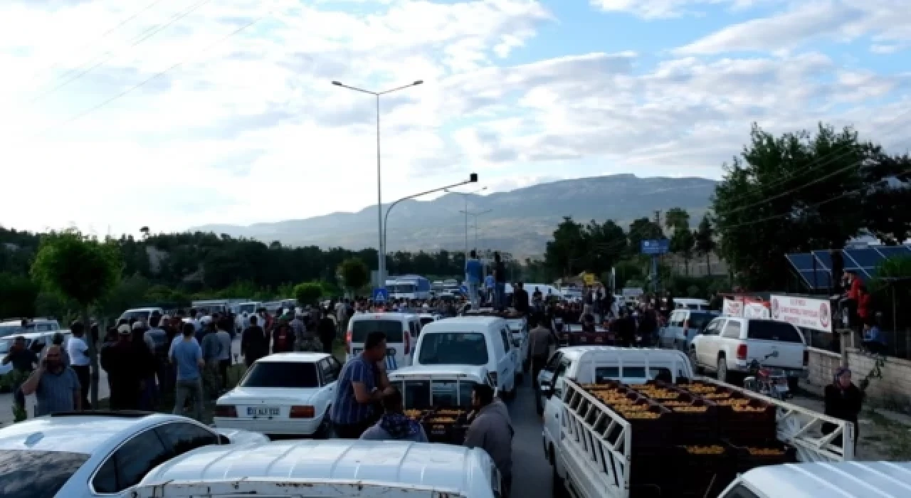 Mersin'de kayısı üreticilerinden 'düşük fiyat' eylemi