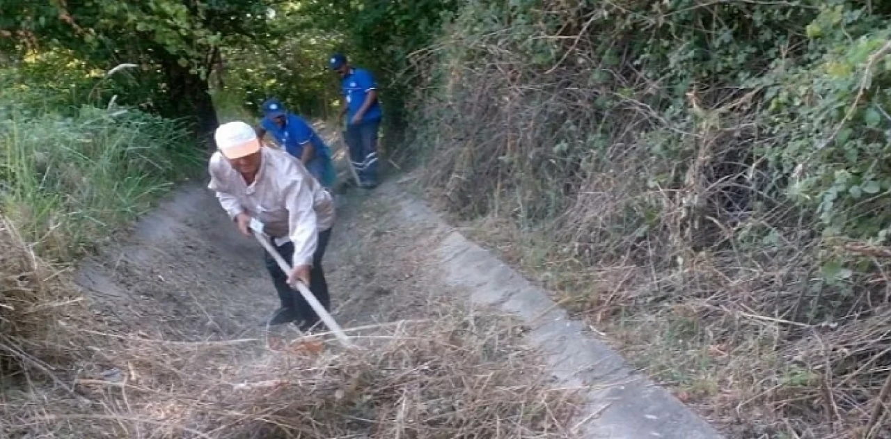 Muğla Büyükşehir’den Muğla Tarımına Destek