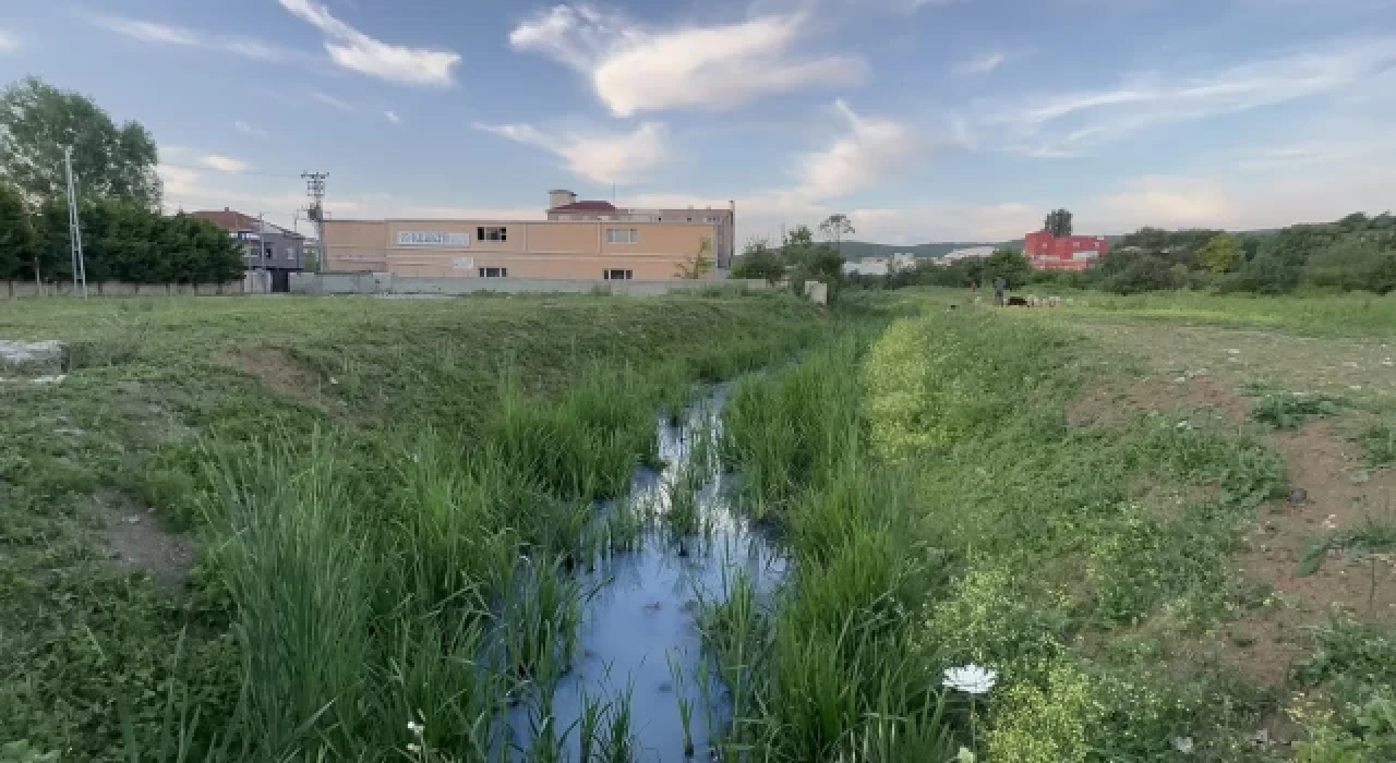 Arnavutköy’de derenin rengi maviye döndü