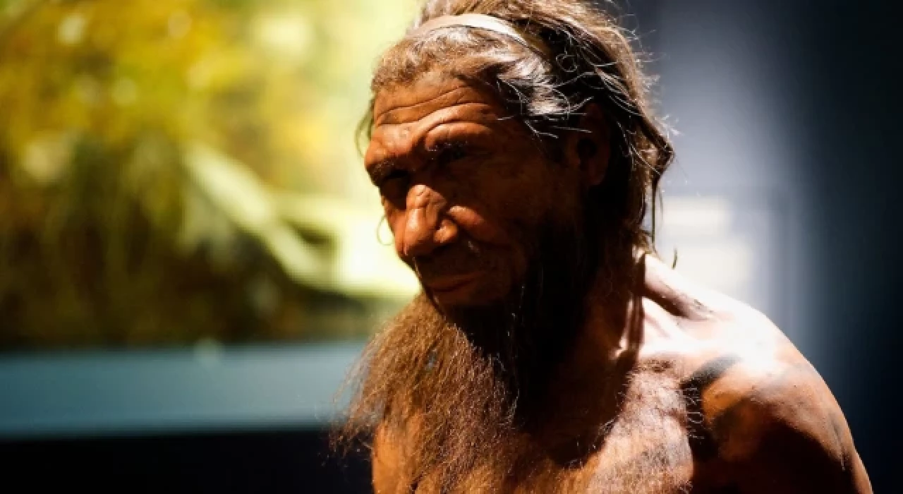 Avrupa'daki en eski 'Neandertal' izi keşfedildi