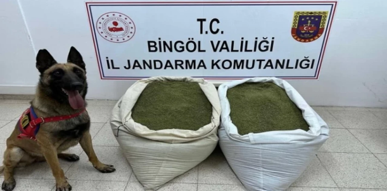 Bingöl’de uyuşturucu operasyonu