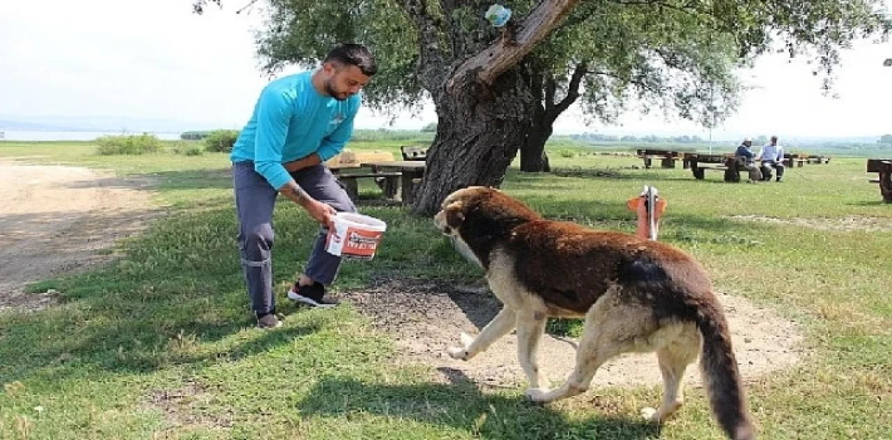 Can dostlar unutulmuyor