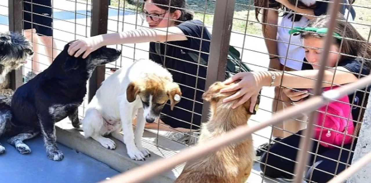 İzmirliler PAKOFEST’te patili dostlarla buluştu