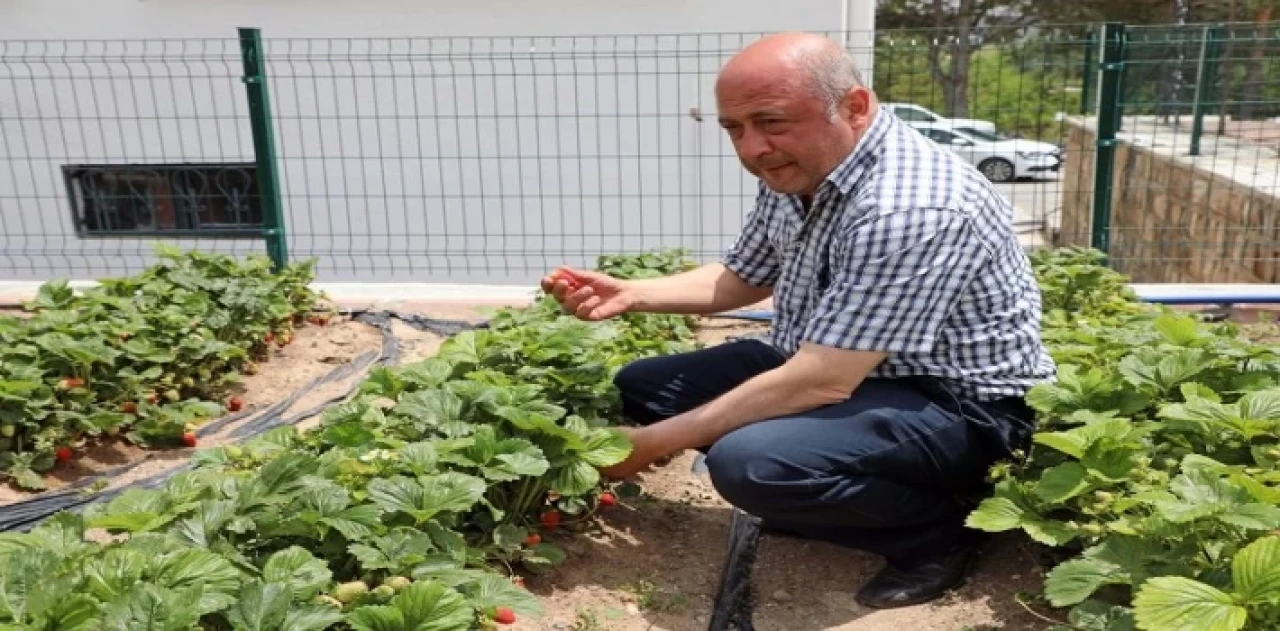 Kayseri Talas’tan deneme bahçelerine teşvik