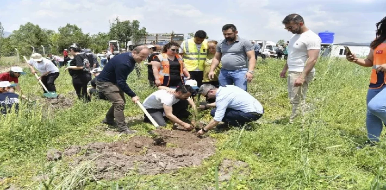 Kuraklığa karşı bin fidan