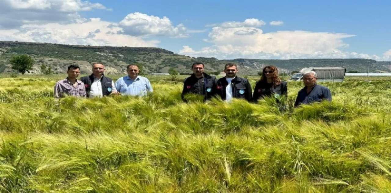 Manisa’da tohumların verimliliği yüzleri güldürüyor