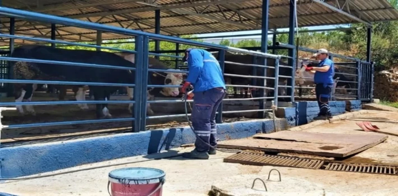 Muğla’da Büyükşehir tüm birimleri ile bayrama hazır