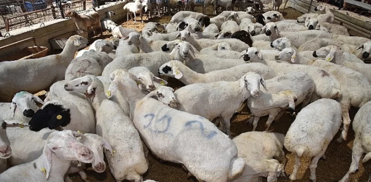 Selçuklu’da kurban satış ve kesim yerleri hazır