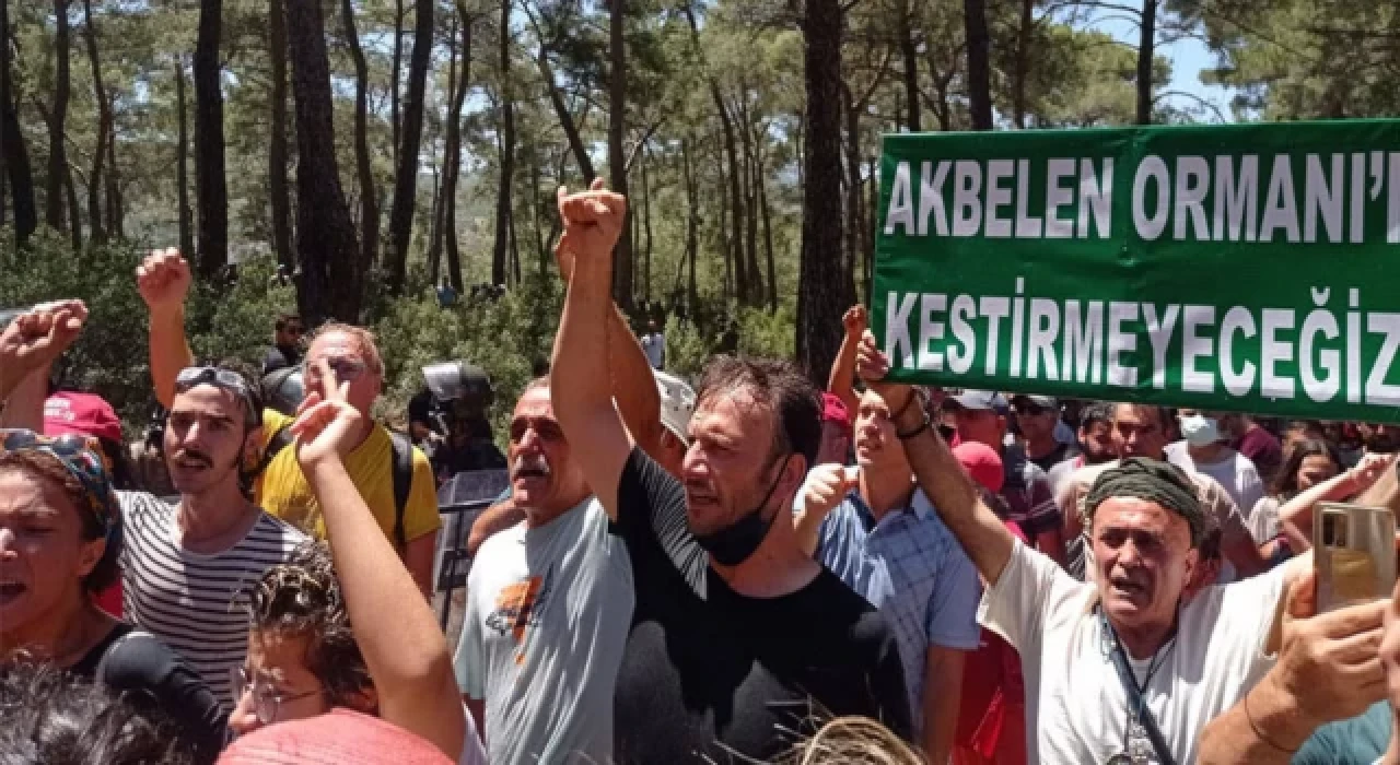 Akbelen Ormanı’ndaki ağaç katliamına karşı, 308 kurumdan ortak açıklama!