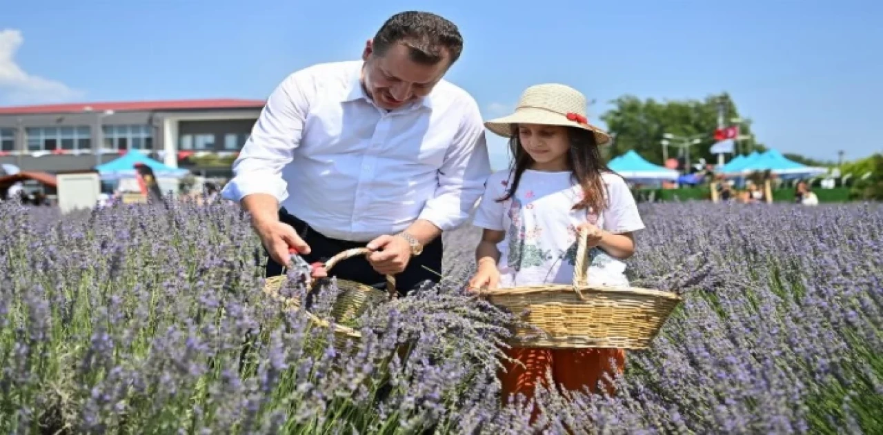 Başkan Yılmaz BAÇEM’de hasat yaptı