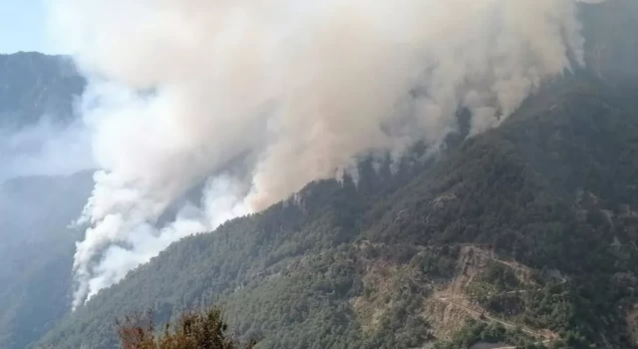 Çankırı'da ormanlık alanlara giriş yasaklandı