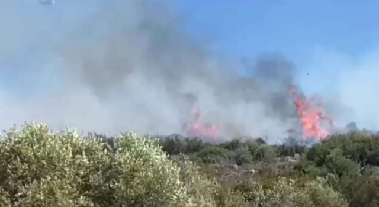 Çeşme'de çıkan orman yangınına karadan ve havadan müdahale ediliyor