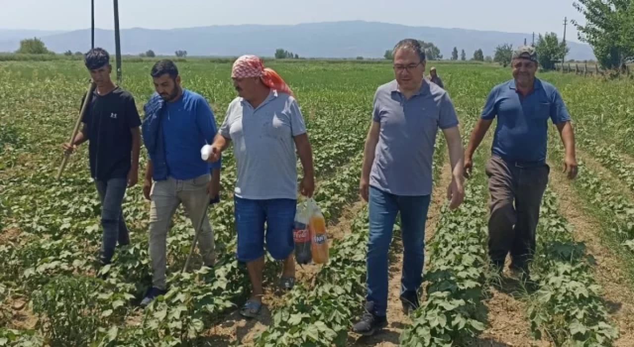 CHP: Pamuk üreticisinin destekleme primleri yükseltilsin 