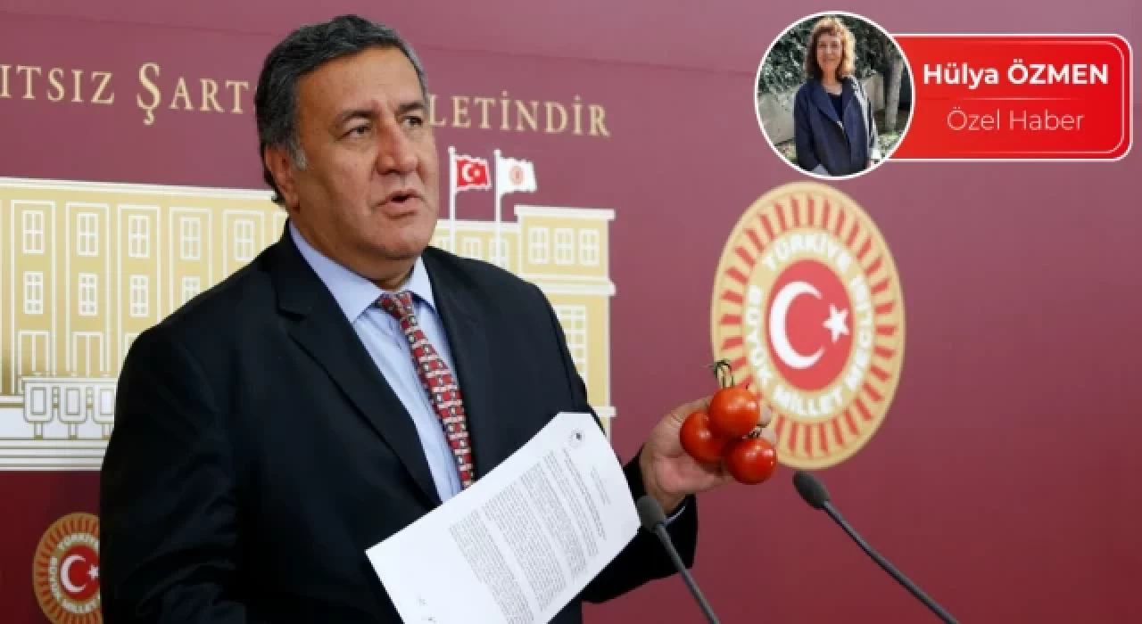 Gürer: Tarım sektörünün bankalara olan borcu bir yılda %113 arttı