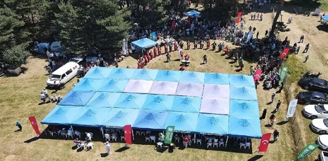 İznik Maviyemiş Festivali’ne yoğun ilgi