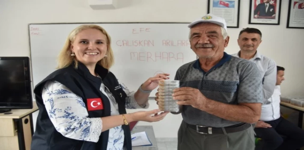 Manisa’da ana arıların dağıtımına devam