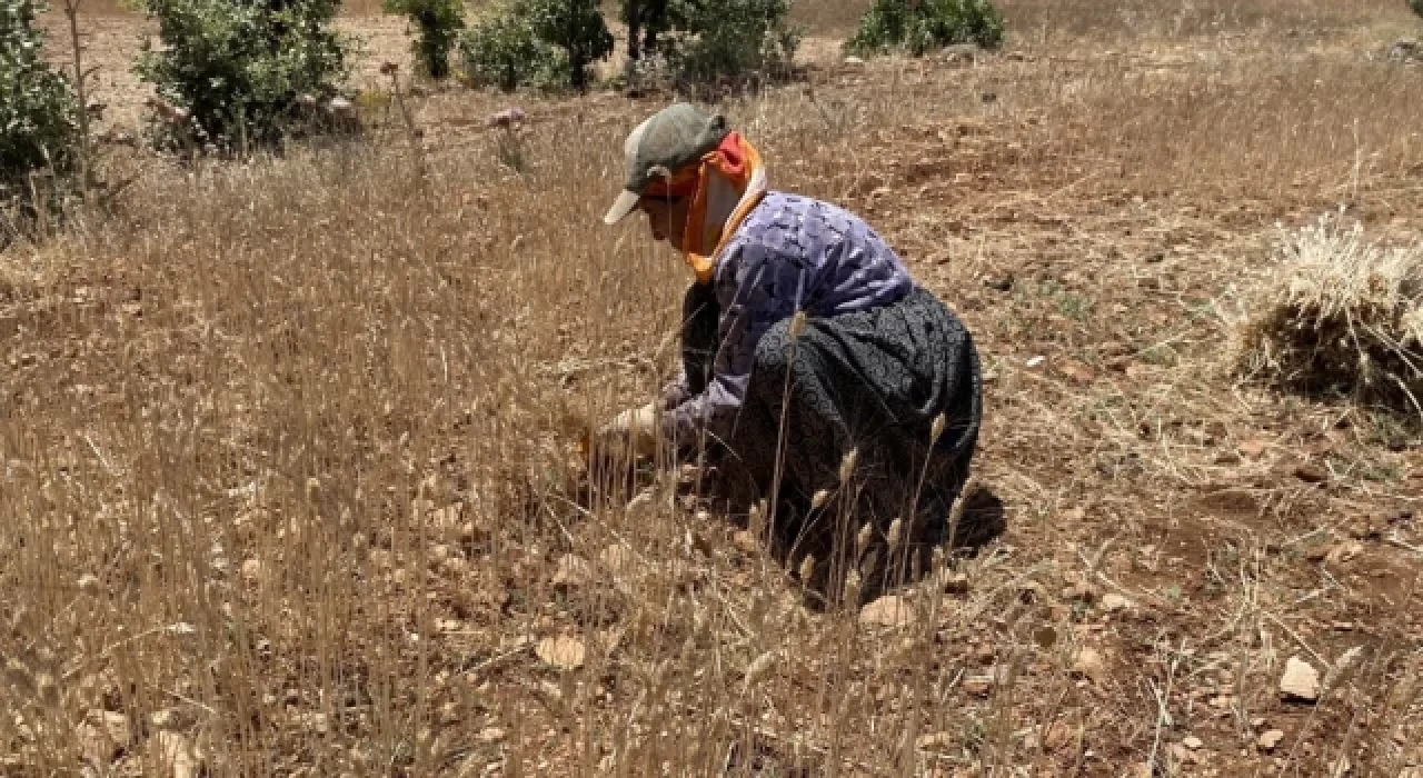 Mardin Milletvekillerinden Mardinli çiftçinin sorunlarına toplu önerge