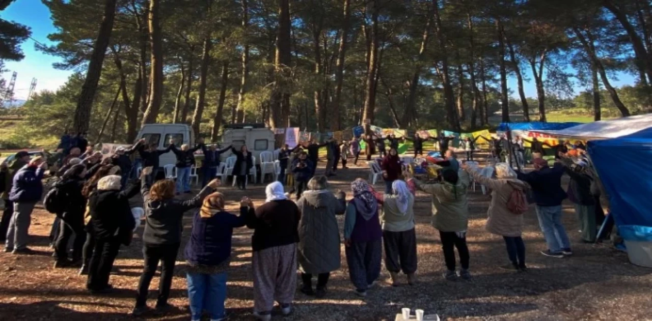 Muğla’da Akbelen Ormanı için ortak ’sivil’ çağrı