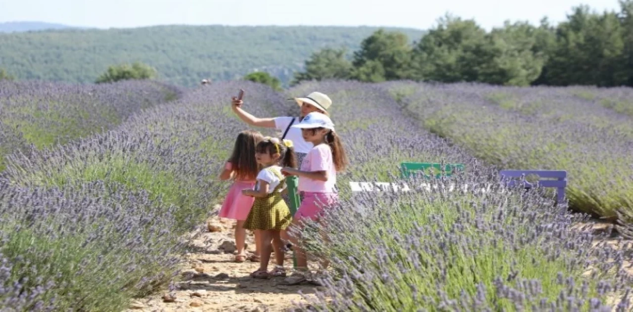 Muğla’da Lavanta Bahçesi’ne ziyaretçi akını