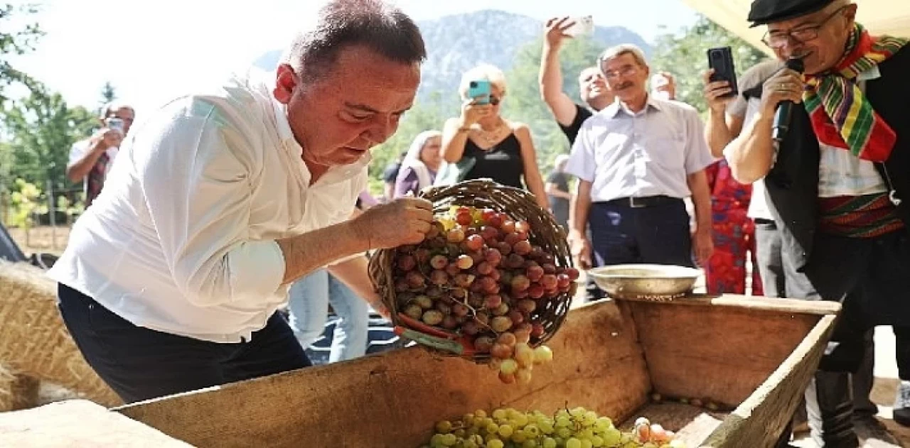 Antalya Gastronomi Festivali’nin İkinci Gününde Mor Üzüm Hasadı