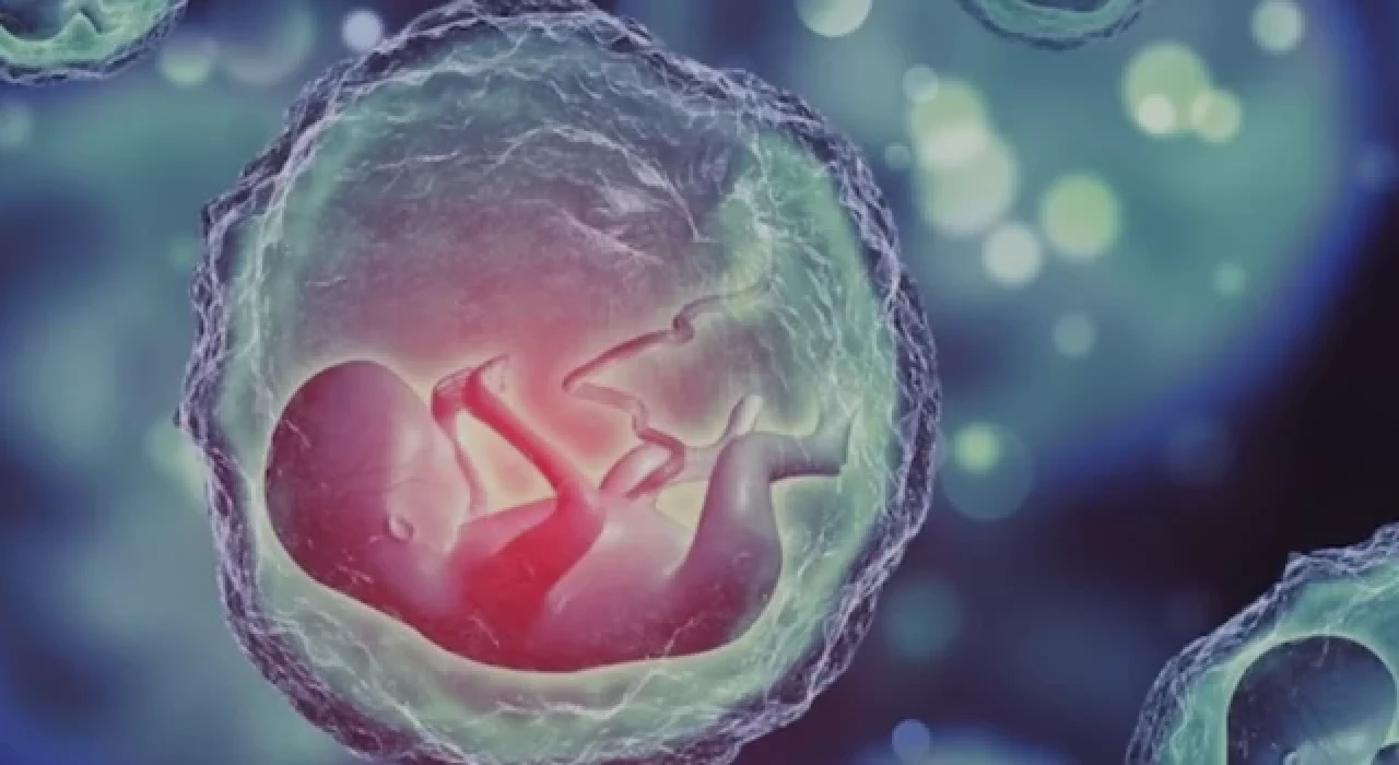 Bilim insanlarından yapay embriyo: Sperm ve yumurta olmadan geliştirildi