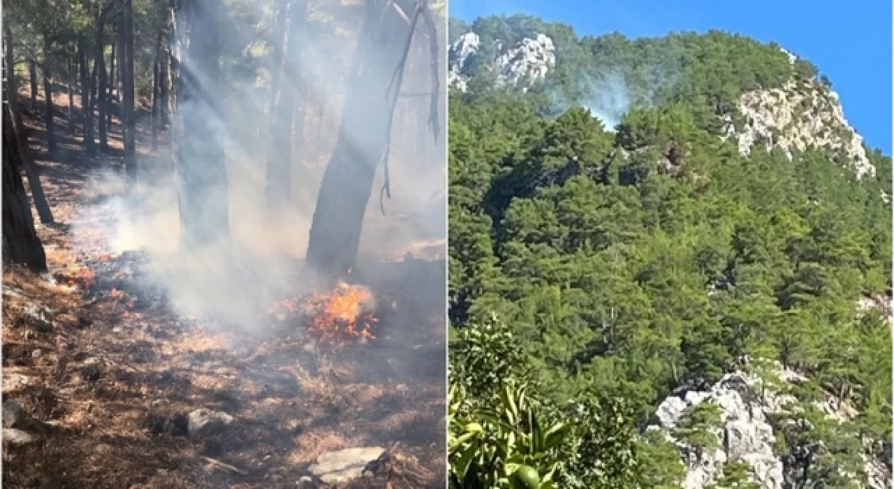 Muğla'nın Köyceğiz ilçesinde orman yangını çıktı