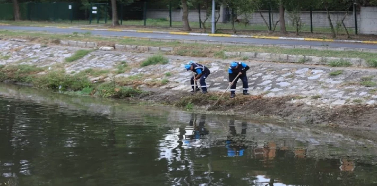 Sakarya Çark Deresi’nde rutin temizlik