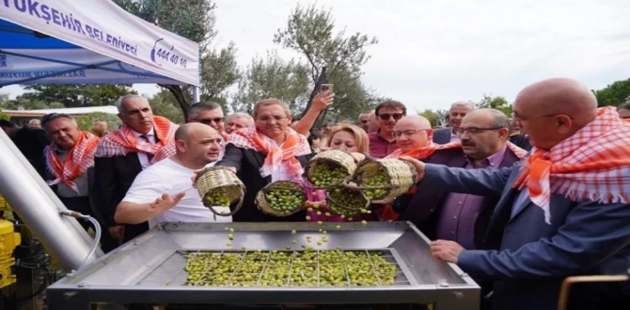 Ayvalık’ta Hasat Festivali’nde zeytinyağı sıkım keyfi