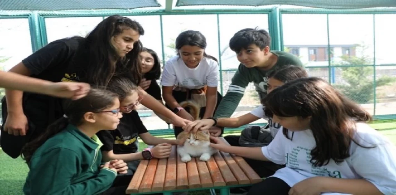 Kayseri Kocasinan’da Kedi Kasabası’na yoğun ilgi