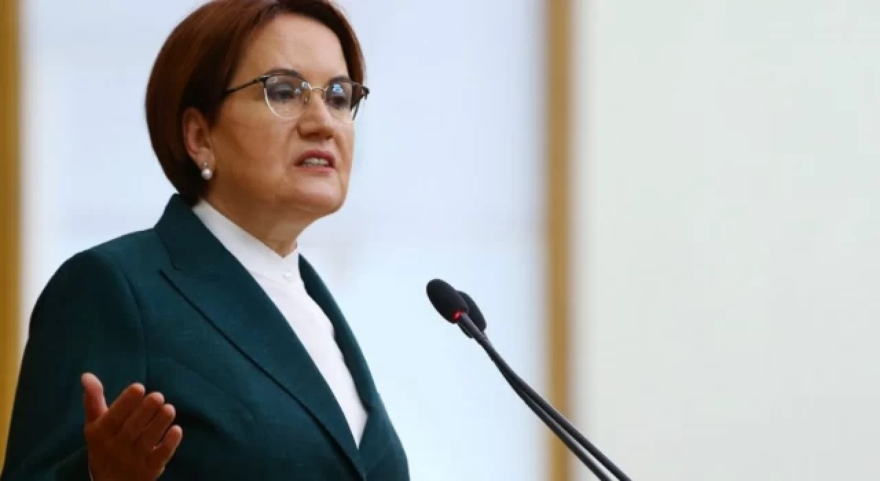 Meral Akşener: Milliyetçilik ne zamandan beri suç oldu?