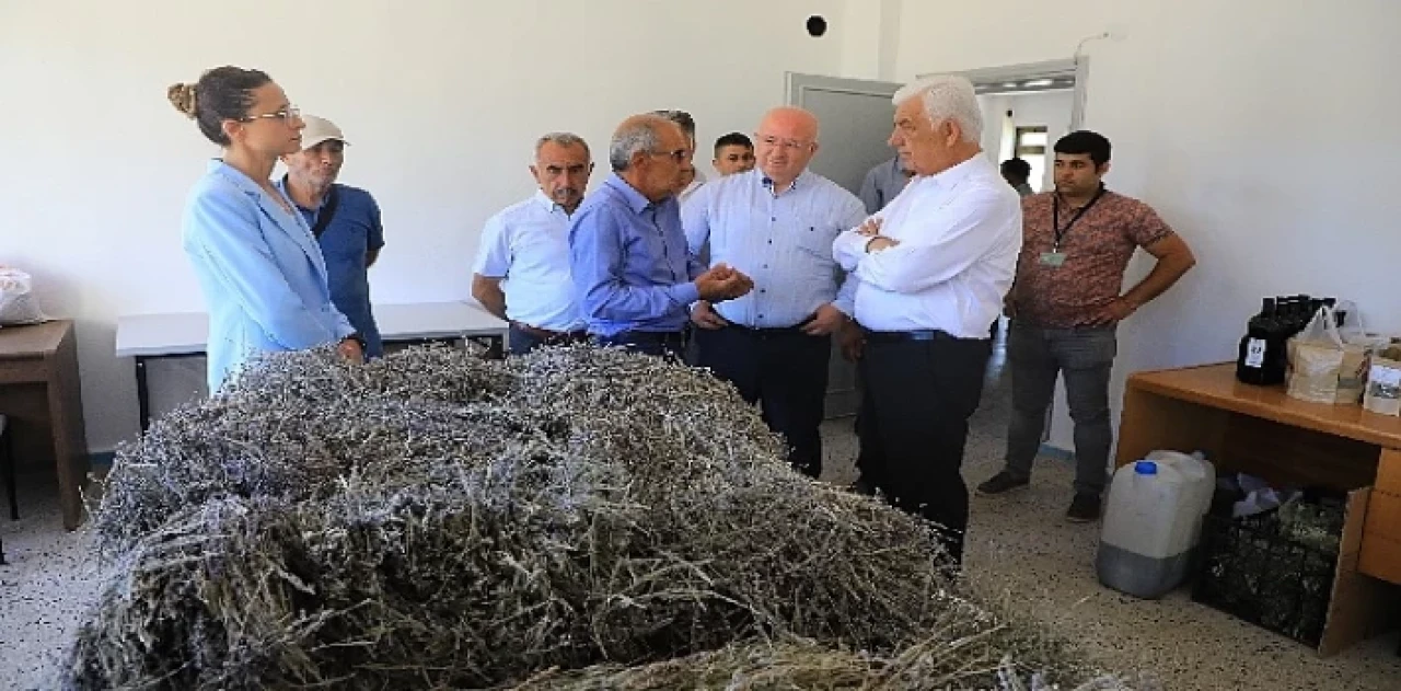 Muğla’da Büyükşehir Belediyesi’nin Tarımsal Güçbirliği Projesi Üreticiye Kazandırıyor