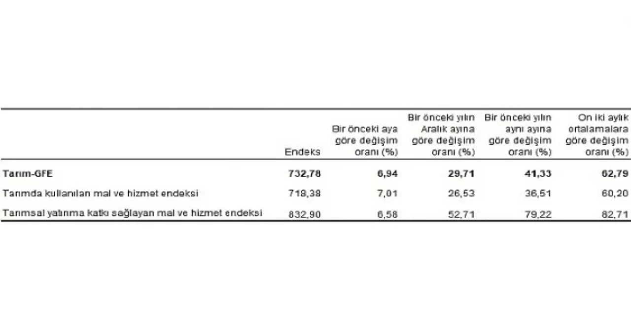 Tarımsal girdi fiyat endeksi (Tarım-GFE) yıllık yüzde 41,33, aylık yüzde 6,94 arttı