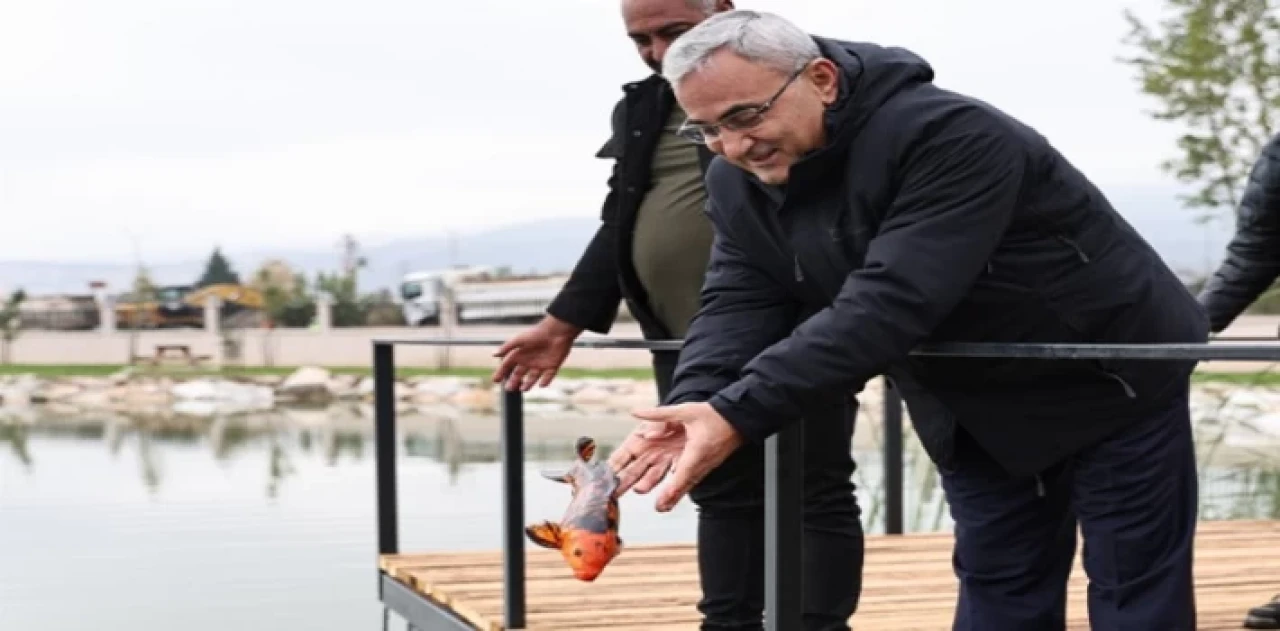 Yedigöller’e koi balığı bırakıldı